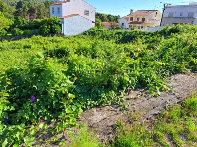 Terreno Afife