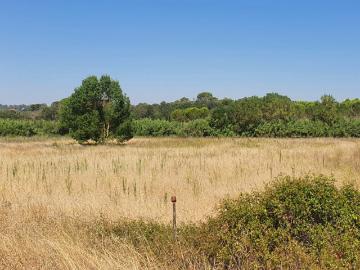 Terreno Agro Florestal 4.6 hectares em Cem Soldos