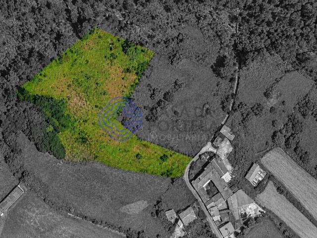 Terreno Agroflorestal com 5.383 m² e Excelentes Acessos A41 / A38 — Sandim, Vila Nova de Gaia