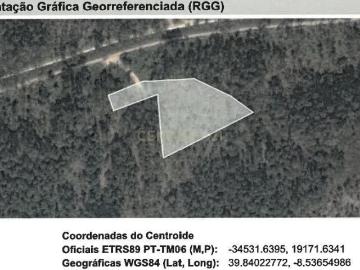 Terreno Agroflorestal de Grande Potencial