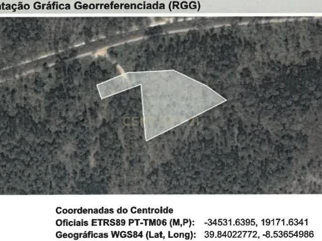 Terreno Agroflorestal de Grande Potencial