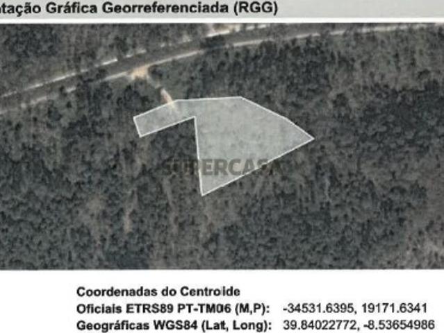 Terreno Agroflorestal de Grande Potencial