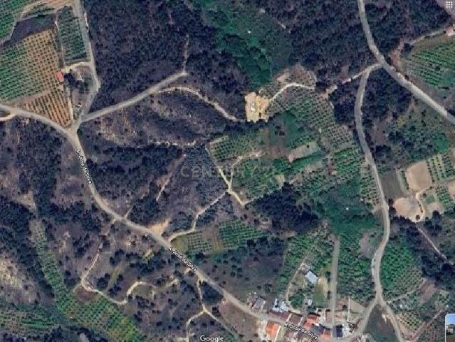 Terreno Agroflorestal em Chancelaria