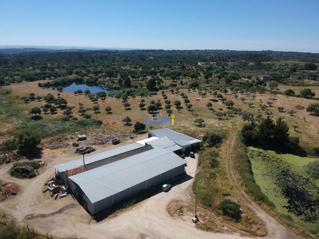 Terreno Agropecuário com cerca de 20 ha