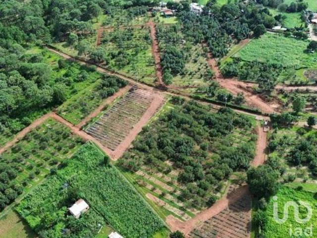 TERRENO AGRORESIDENCIAL EN CHIQUILISTLAN