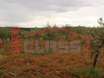 Terreno agrícola na Ferradosa