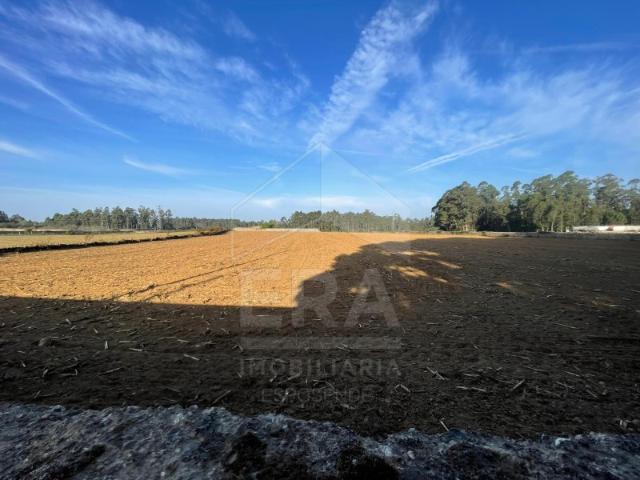 Terreno Agrícola na Póvoa de Varzim