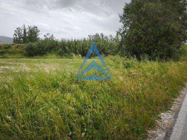 TERRENO AGRICOLA NA REDINHA