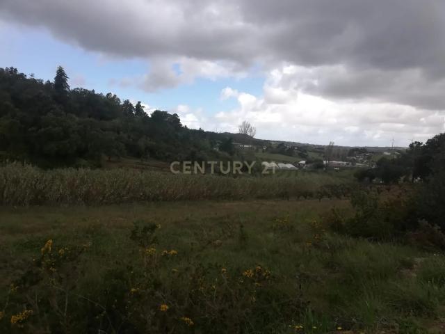 Terreno Agrícola na Zona Oeste