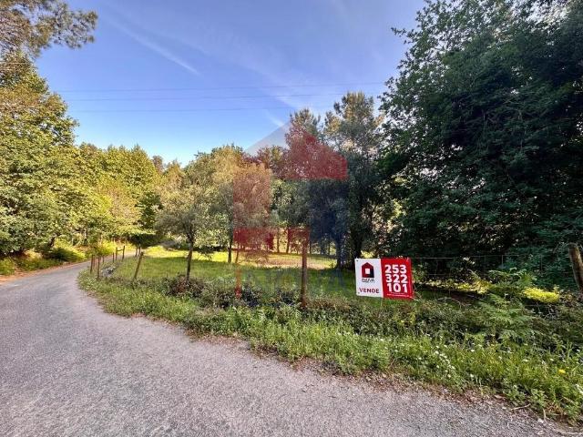 Terreno Agrícola, Oriz Santa Marinha