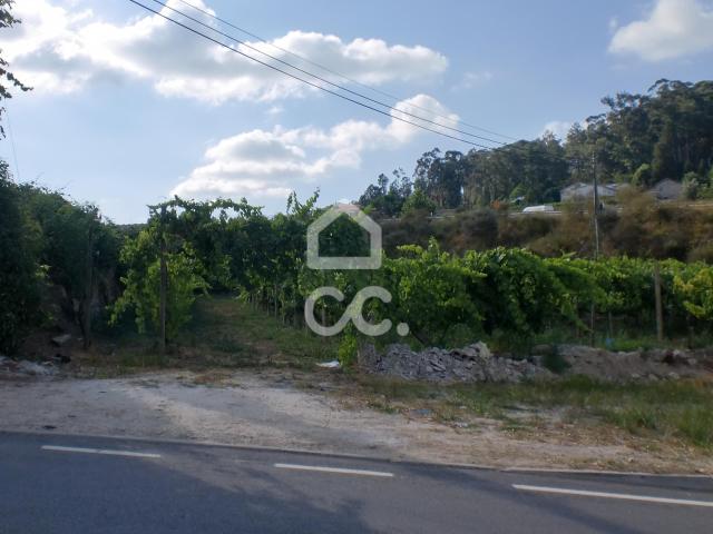 Terreno Agrícola, Aveleda, Lousada