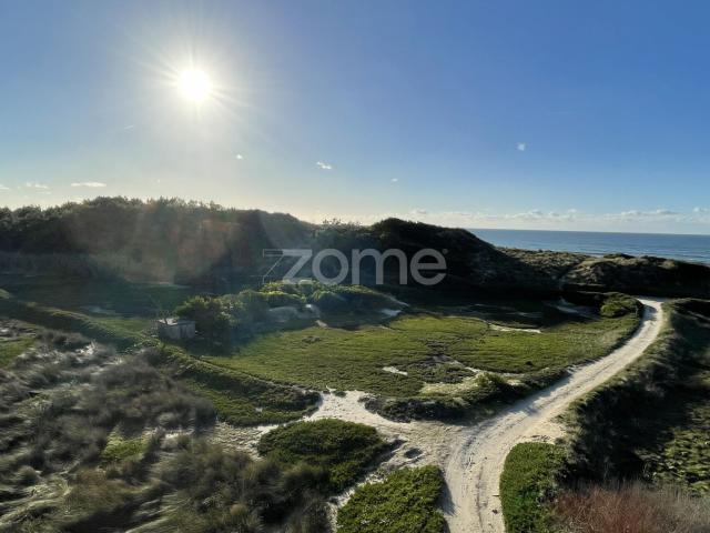 Terreno agrícola à beira mar