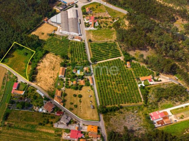 Terreno agrícola Areeiro 2978m², vedado, árvores pomar, Águeda, Aveiro