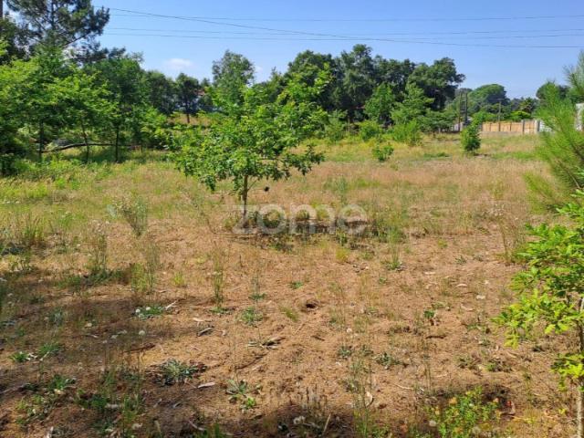 Terreno agrícola Areeiro 2978m², vedado, árvores pomar, Águeda, Aveiro