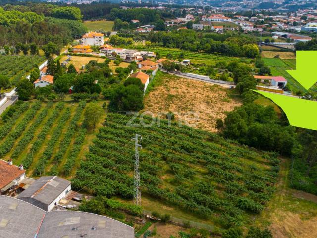 Terreno agrícola Areeiro 2978m², vedado, árvores pomar, Águeda, Aveiro