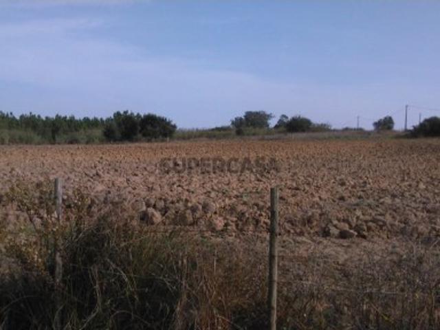 Terreno Agrícola c/ área 12320m2