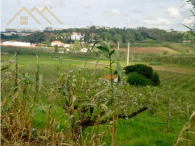 Terreno Agrícola c/ área total 3 terrenos 4 280 m2 Lourinhã