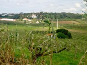 Terreno Agrícola c/ área total 3 terrenos 4 280 m2 Lourinhã