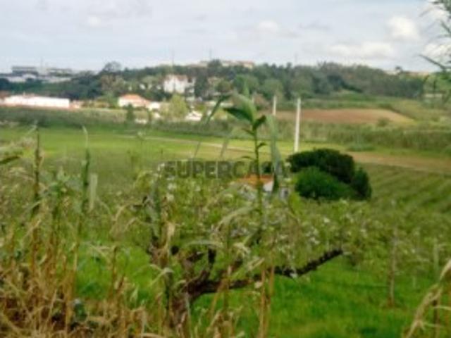 Terreno Agrícola c/ área total 3 terrenos 4 280 m2 Lourinhã