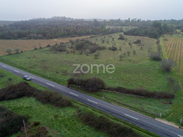 Terreno agrícola com 4 hectares, Vila Nova de Fôz Coa