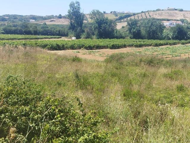 Terreno Agrícola para Venda em São Lourenço, Ribamar, 5.437m2 22.500€
