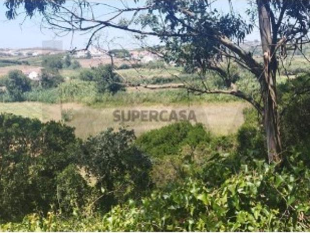 Terreno Agrícola para Venda em São Lourenço, Ribamar, 5.437m2 22.500€