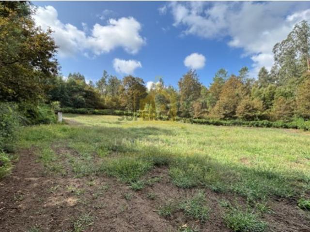 Terreno Agrícola com 5.625 m² | Verim Póvoa de Lanhoso