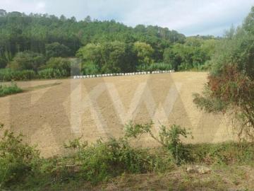 Terreno Agrícola com 7.125 m2 Santo Isidoro Ericeira