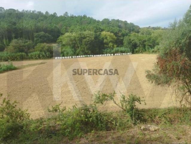 Terreno Agrícola com 7.125 m2 Santo Isidoro Ericeira