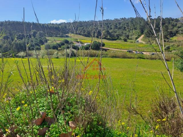 Terreno Agrícola com 8.440 m² no Vimeiro Lourinhã