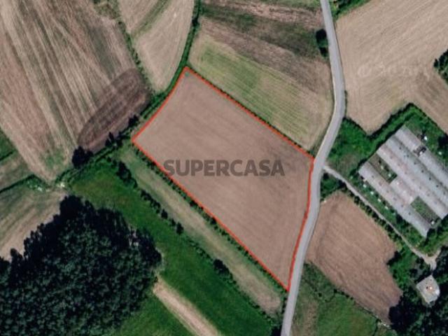 Terreno Agrícola com 13.600 m² | Bastuço Santo Estêvão Barcelos