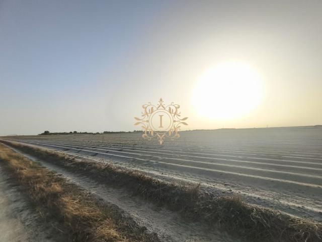 TERRENO AGRÍCOLA COM 13.250 M² SANTO ISIDRO DE PEGÕES