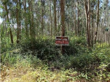 Terreno agrícola com 10.720m2 localizado na Freguesia de Olho Marinho