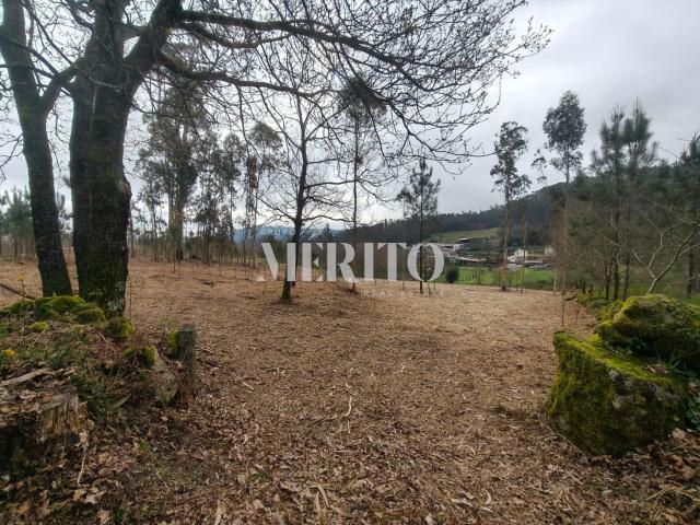 Terreno Agrícola com 10.760m2 em Cossourado frente ao Rio Neiva