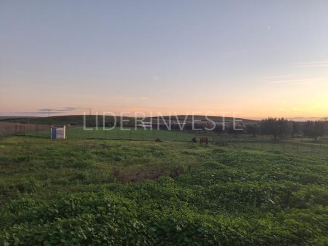 Terreno agrícola com 12 620 m2 | Armazém de 200 m2