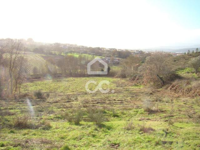 Terreno agrícola com 14790m2