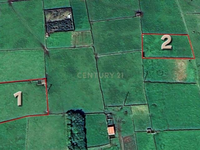 Terreno agrícola com 1.452 m² localizado na zona das Fontinhas, no concelho da Praia da Vitória, Ilha Terceira