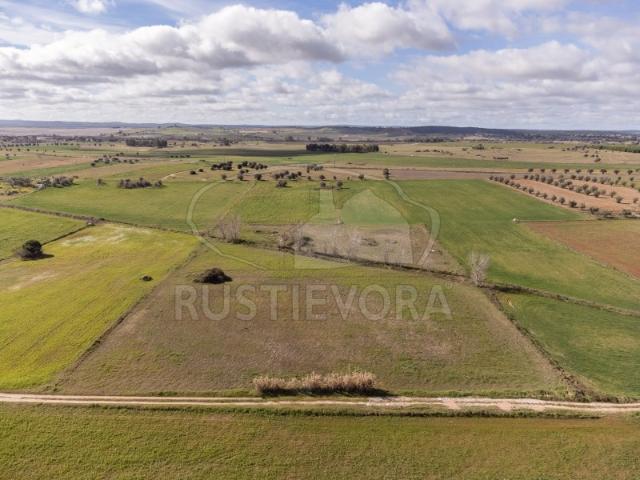Terreno agrícola com 1,4125 ha a 15 minutos de Évora