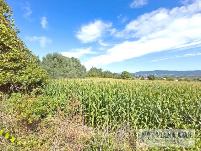 Terreno agrícola com 1.900 m2 em Serreleis Viana Castelo