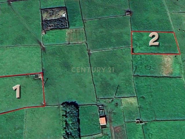 Terreno agrícola com 1.936m² situado na zona das Fontinhas, concelho da Praia da Vitória, Ilha Terceira