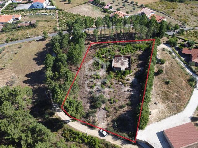 Terreno agricola com 3000m2 e um amazem já construído na Periferia da Cidade