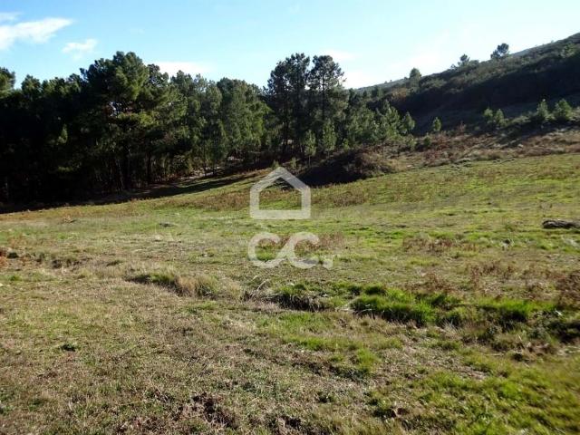 Terreno Agrícola com 31.000m2