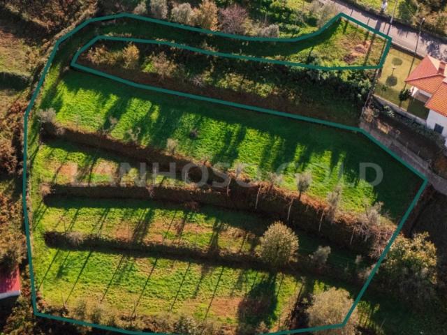 Terreno Agrícola com 3.300 m² na Póvoa de Lanhoso Imperdível!