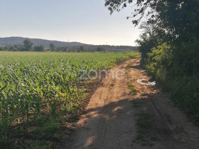 Terreno agrícola com 3.600 M2 em Fradelos Famalicão