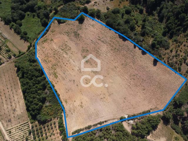 terreno agrícola com uma área superior a dois hectares a 5 kms da cidade