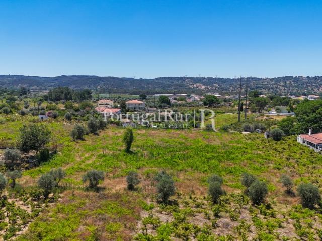 Terreno Agrícola com Viabilidade de Construção