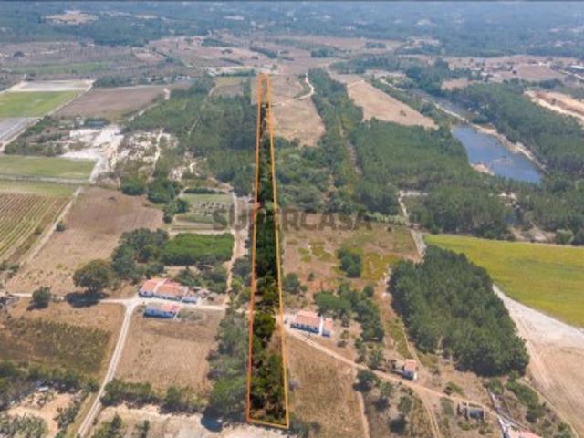 Terreno Agrícola com Vista Mar Cabeço de Águia, Rogil Aljezur