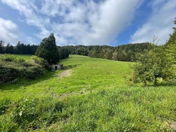 Terreno Agrícola com Vista Panorâmica em Povoação, São Miguel