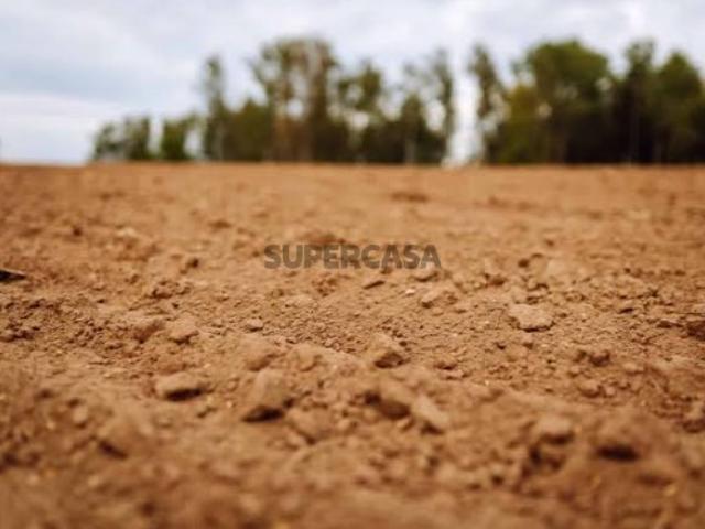 Terreno agrícola com benfeitorias em Vila Flor