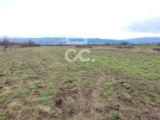 Terreno agrícola com bons acessos